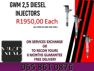 Gwm 2.5 Diesel Injectors For Sale Or To Recon