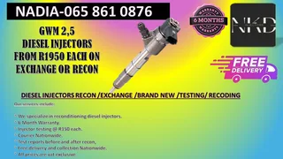 Gwm 2.5 Diesel Injectors For Sale Or To Recon