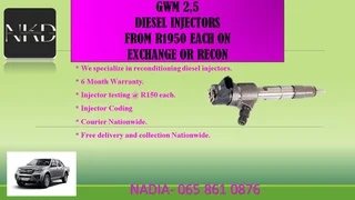 Gwm Diesel Injectors For Sale