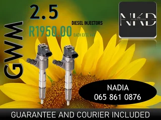 Gwm 2.5 Diesel Injectors For Sale Or To Recon
