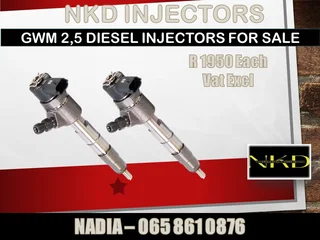 Gwm 2.5l Diesel Injectors For Sale On Exchange Or To Recon