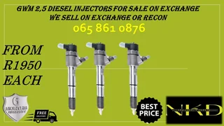 Gwm 2.5 Diesel Injectors For Sale Or To Recon