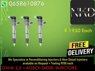 Gwm 2.5 Diesel Injectors For Sale Or To Recon The Same Day