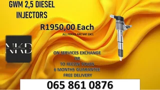 Gwm 2.5 Diesel Injectors For Sale Or To Recon The Same Day