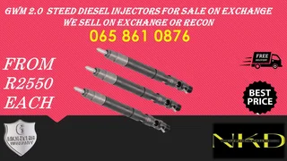 Gwm 2.0 Steed Diesel Injectors For Sale Or To Recon The Same Day