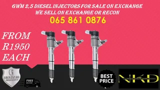 Gwm 2.5 Diesel Injectors For Sale Or To Recon The Same Day