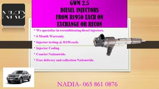 Gwm 2.5 Diesel Injectors For Sale Or To Recon