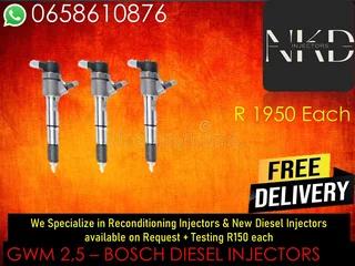 Gwm 2.5 Diesel Injectors For Sale Or To Recon