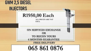 Gwm 2.5 Diesel Injectors For Sale