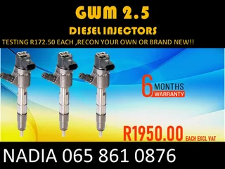 Gwm 2.5 Diesel Injectors For Sale