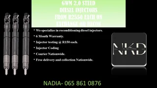 Gwm 2.0 Steed Diesel Injectors For Sale With Test Reports