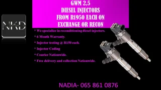 Gwm 2.5 Diesel Injectors For Sale With Test Report
