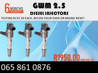 Gwm 2.5 Diesel Injectors For Sale Or To Recon