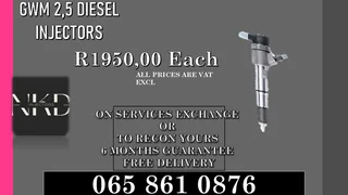 Gwm 2.5 Diesel Injectors For Sale Or To Recon