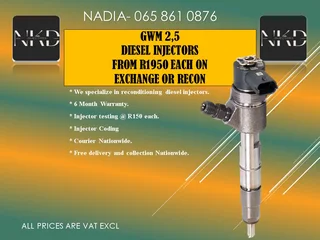 Gwm 2.5 Diesel Injectors For Sale On Exchange