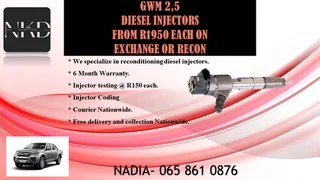 Gwm 2.5 Diesel Injectors For Sale Or To Recon
