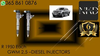 Gwm 2.5 Diesel Injectors For Sale With Test Report