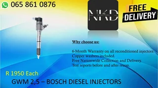 Gwm 2.5 Diesel Injectors For Sale
