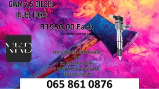 Gwm 2.5 Diesel Injectors For Sale With Warranty