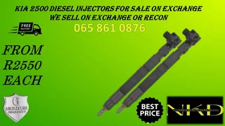 Kia 2500 Diesel Injectors For Sale With Test Report