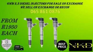 Gwm 2.5 Diesel Injectors For Sale With Test Report