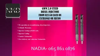 Gwm 2.0 Steed Diesel Injectors For Sale With Warranty