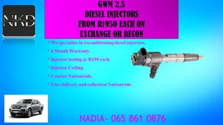 Gwm 2.5 Diesel Injectors For Sale Or To Recon