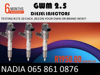 Gwm 2.5 Diesel Injectors For Sale On Exchange