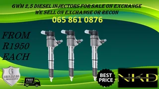 Gwm 2.5 Diesel Injectros For Sale Or Recon