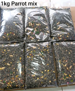 Parrot mix for sale