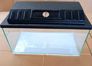 2ft fish &#43; Canopy for sale