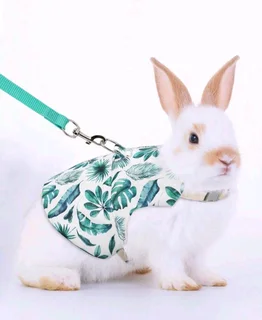 Large rabbit harness
