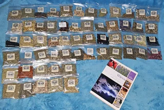 Wicca Book and Herbs