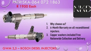 Gwm 2,5 Diesel Injectors For Sale Or To Recon