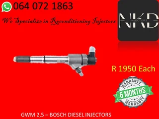 Gwm 2.5 Diesel Injectors For Sale Or To Recon