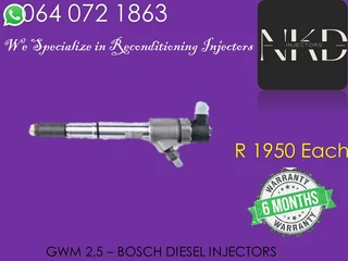 Gwm 2.5 Diesel Injectors For Sale