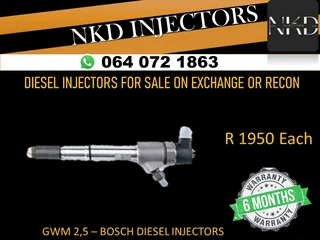Gwm 2.5 Diesel Injectors For Sale
