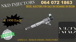 Gwm 2.5 Diesel Iinjecors For Sale