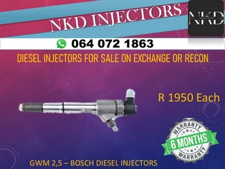 Gwm 2.5 Diesel Injectors For Sale