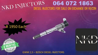 Gmw 2.5 Diesel Injectors For Sale