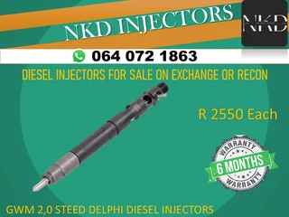 Gwm 2.0 Steed Common Rail Injectors For Sale
