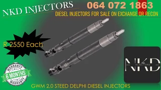 Gwm 2.0 Steed Dcommon Rail Injectors For Sale