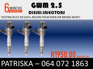 Gwm 2.5 Diesel Injectors For Sale