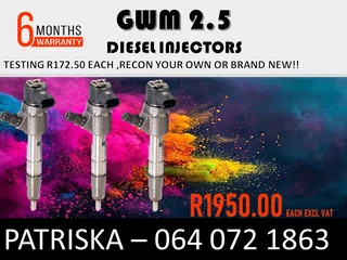 Gwm 2.5 Diesel Injectors For Sale