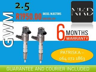 Gwm 2.5 Diesel Injectors For Sale