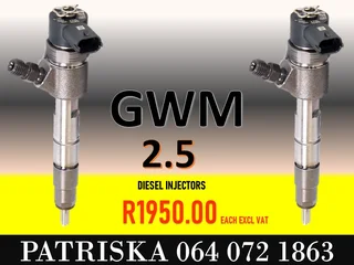 Gwm 2.5 Diesel Injectors For Sale