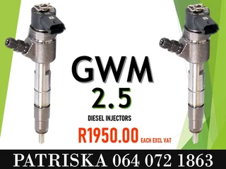 Gwm 2.5 Diesel Injectors For Sale Or To Recon