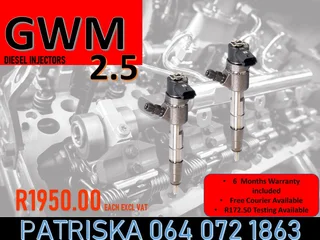 Gwm 2.5 Diesel Injectors For Sale