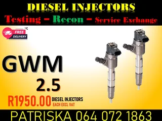 Gwm 2.5 Diesel Injectors For Sale