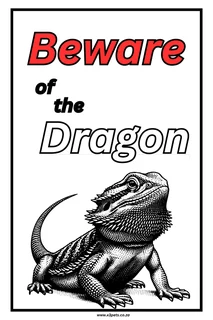 Beware of the Dragon Sign - 30cm x 20cm x 1mm Wide